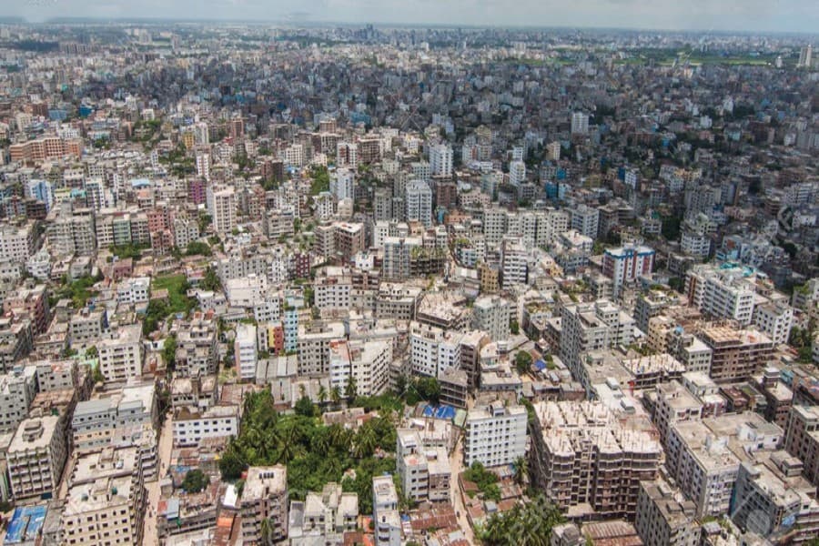 Greening the concrete jungle