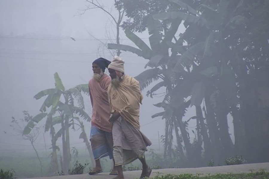 Cold-related diseases affect 4,248 people in 24 hours