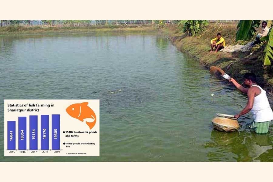 Fresh water fish cultivation thrives in Shariatpur district