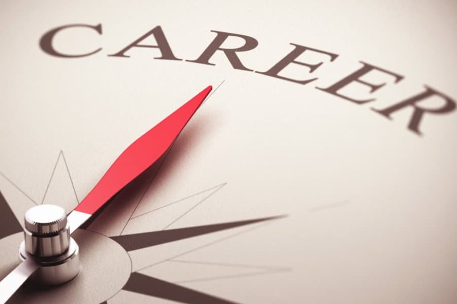 Career navigation: Be at the core or be at the edge