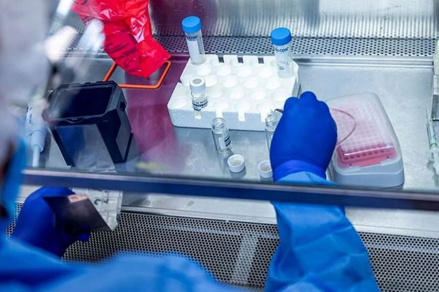 US company poised to start COVID-19 vaccine safety test