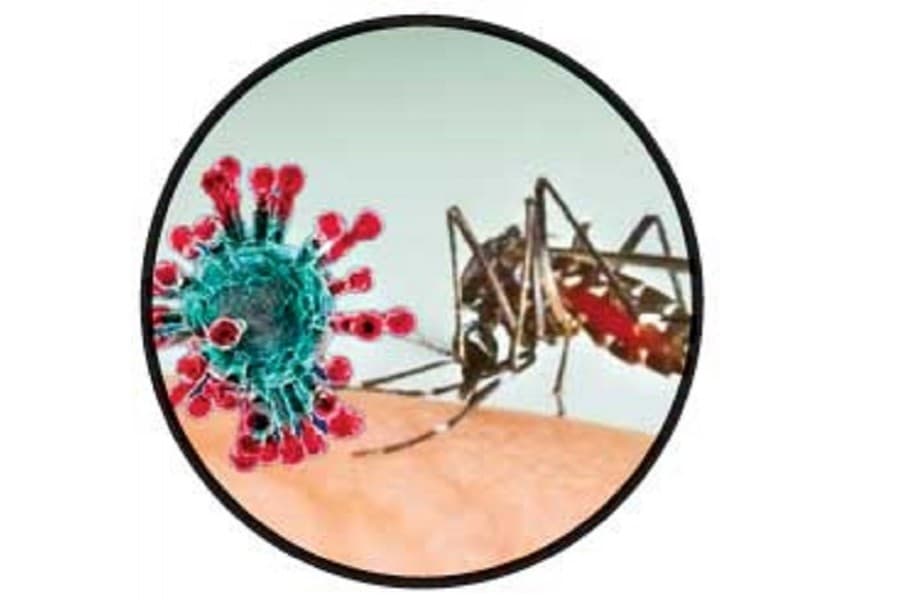 Dengue and Covid-19: A deadly combination