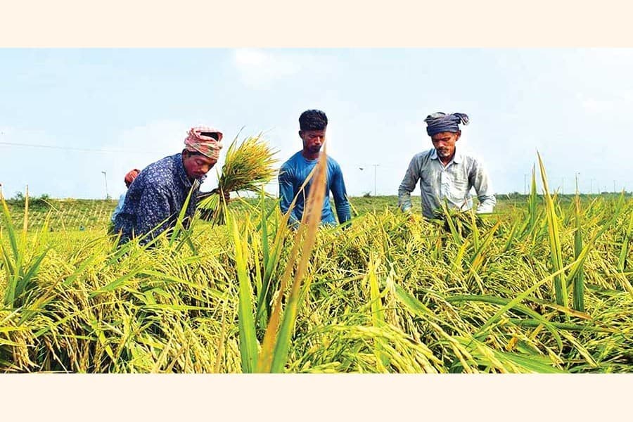 Poor agri-mechanisation is a big headache