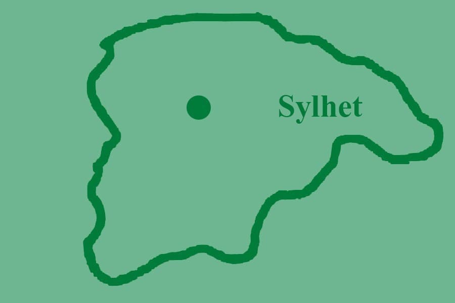 Coronavirus patient flees Sylhet hospital