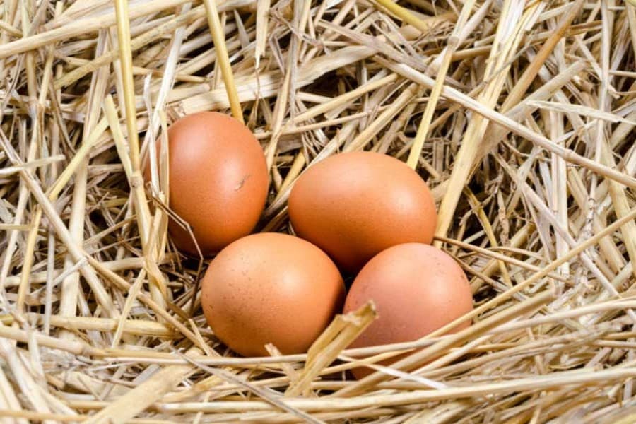 Ministry extends support to sell Tk 1.76b poultry products