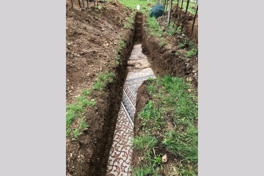 Roman mosaic floor found under Italian vineyard