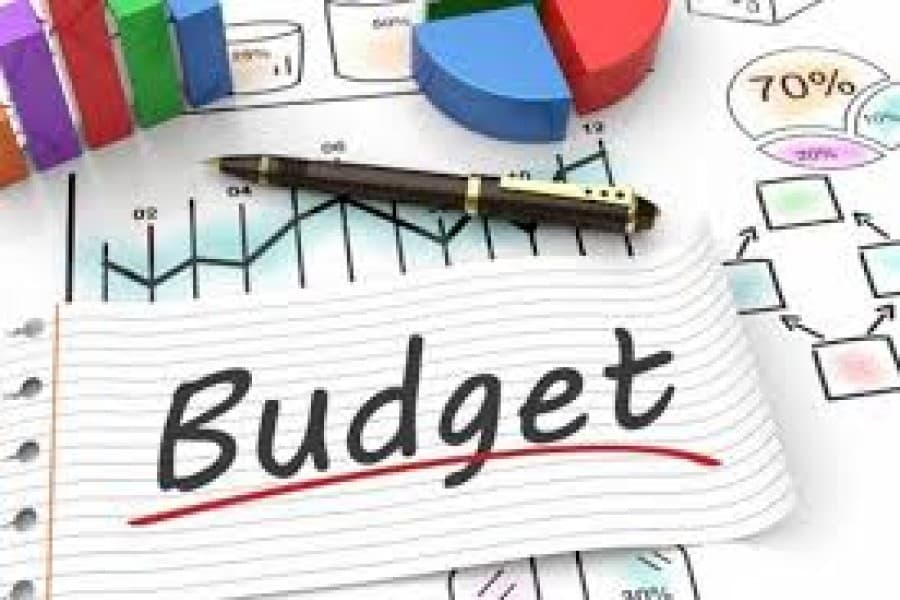 A budget in the time of Covid-19 pandemic
