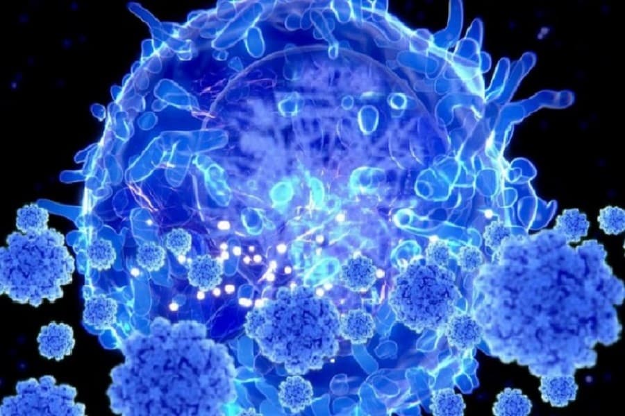 Coronavirus immunity may be more widespread than tests suggest: Study