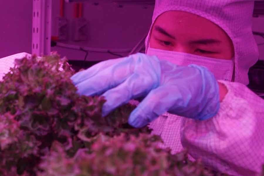 Business sector still far from reaching SDGs, UN report shows