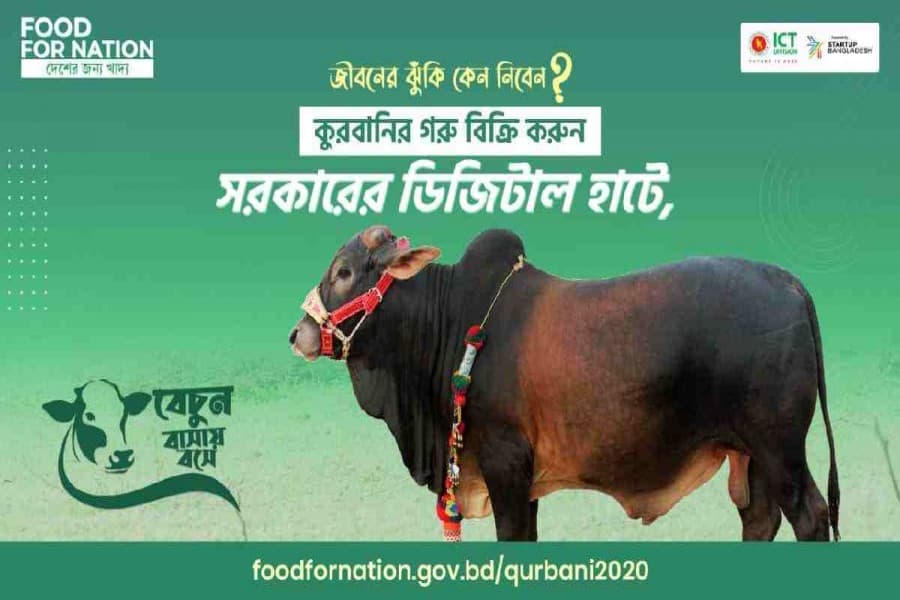 Online cattle buying likely to reach new heights amid pandemic