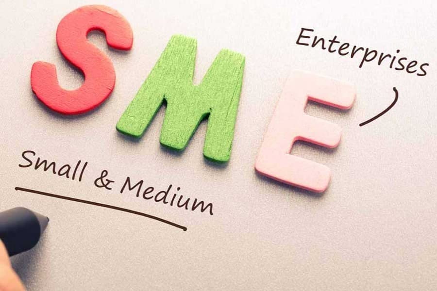 Reaching out to SMEs in pandemic: How effective is the regional and cluster based targeting?