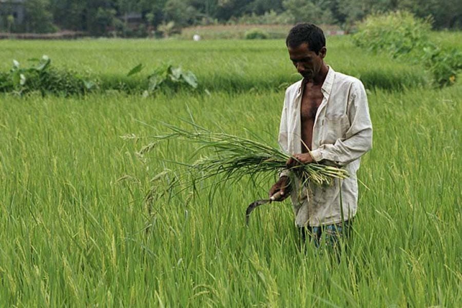 Checking the country's fast-shrinking arable land