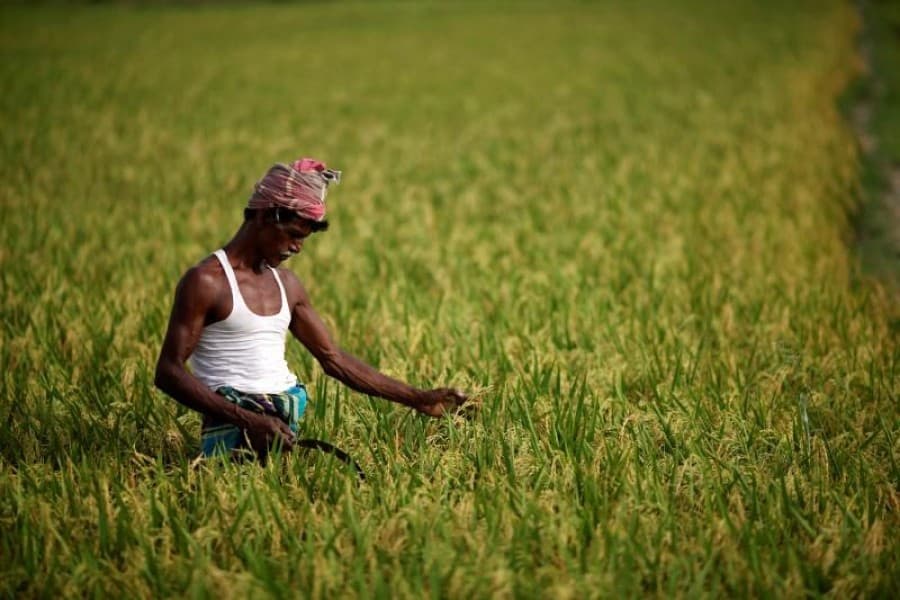 Bangladesh a South Asian miracle, ToI says citing World Development Indicators