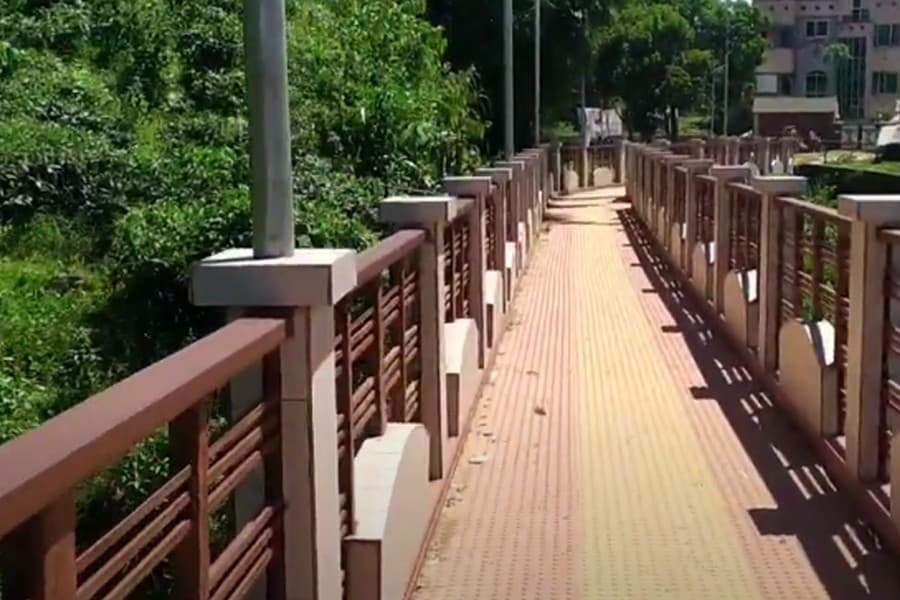 Eye-catching streams in Sylhet's Goabari attract visitors