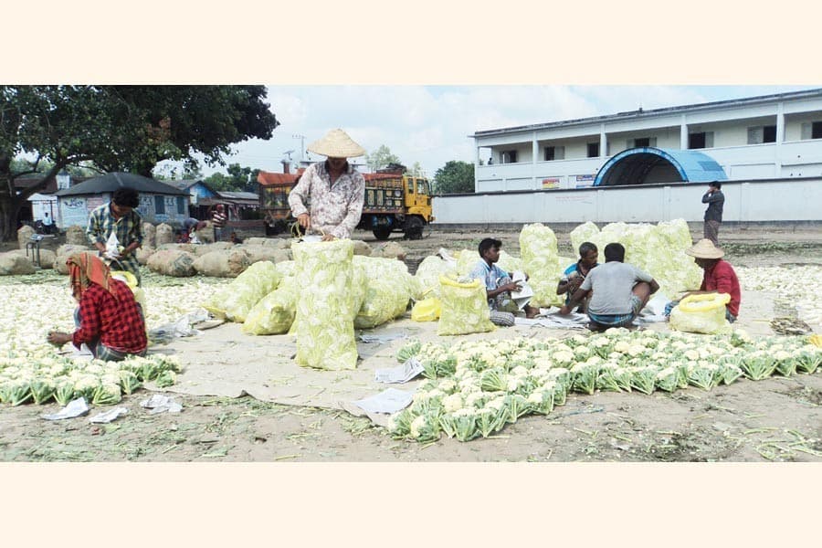 Vegetables price hike hits consumers but makes growers in the north happy