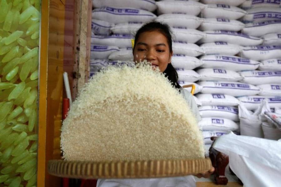 Cambodia's rice export up 17pc in 10 months