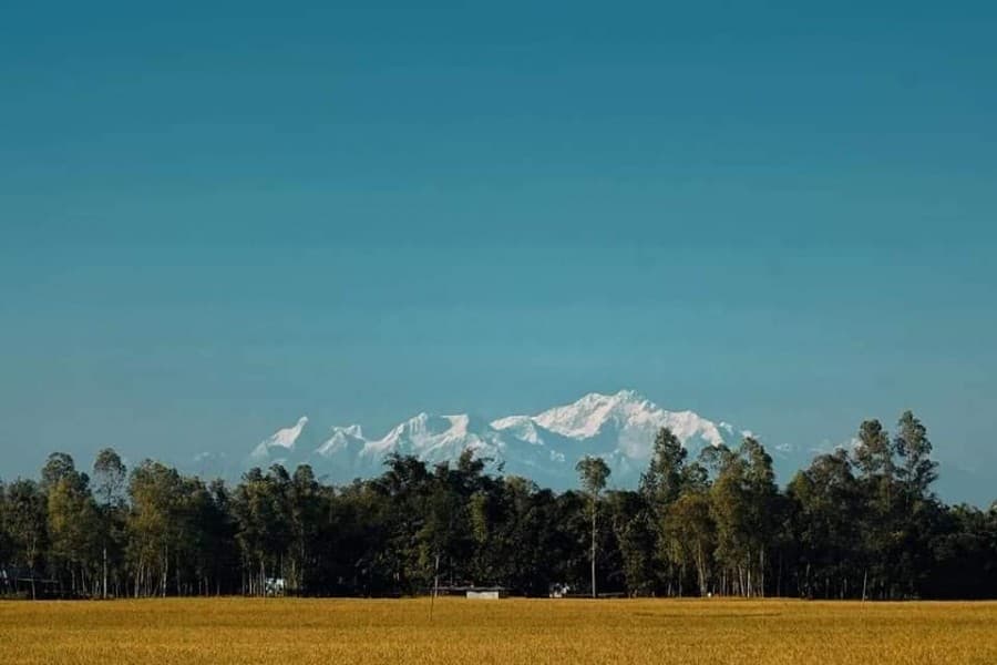 Covid’s brighter side: Local tourism rebounds in Bangladesh