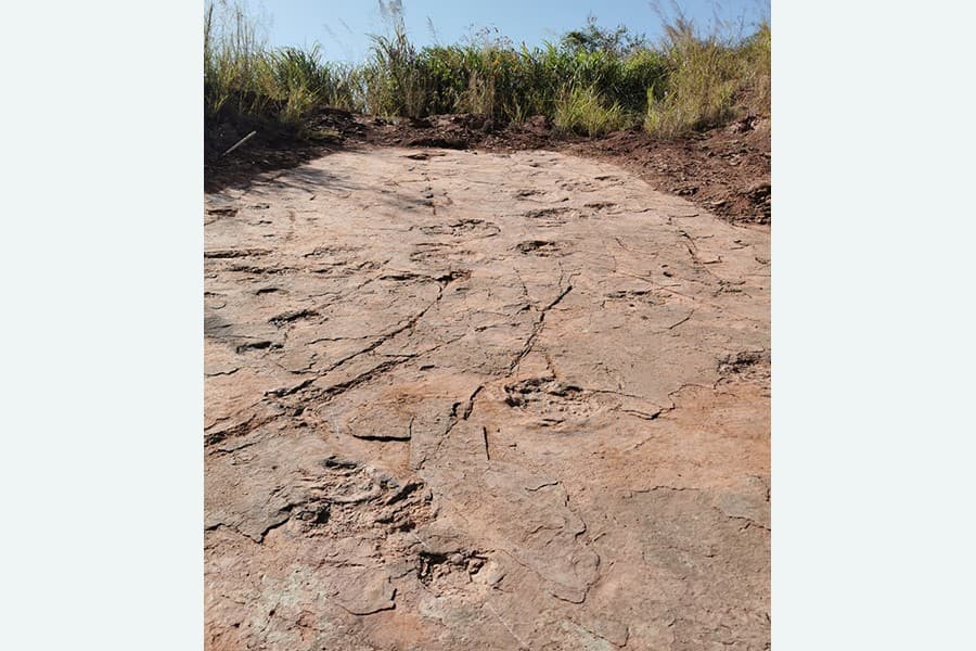 First evidence that dinosaurs roamed East China's Fujian found in preserved footprints