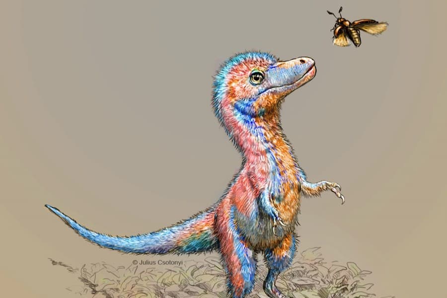 Dinosaur -- Ferocious ones 'born ready' to hunt?