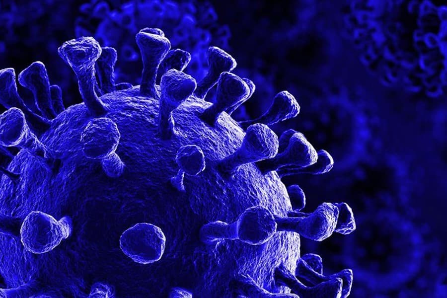 509 new virus cases, 15 deaths recorded in 24 hours