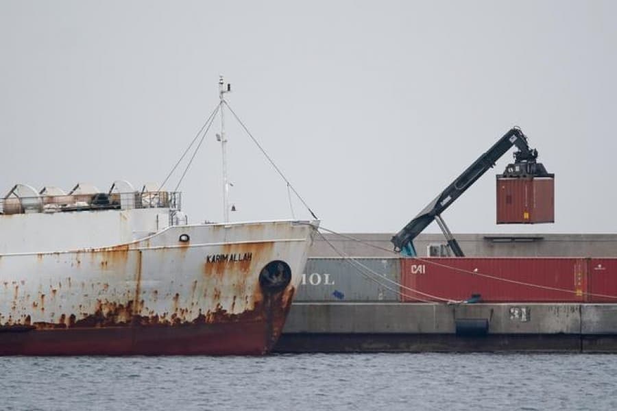 All cattle on pariah ship 'should be killed': Spanish government