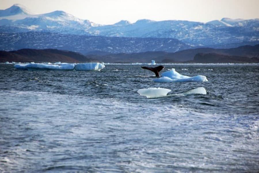 Global warming could cut 63 countries' credit ratings by 2030, study warns