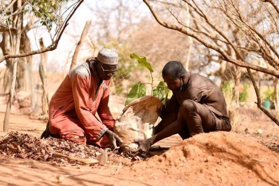Farmer coaxes forest from the desert!