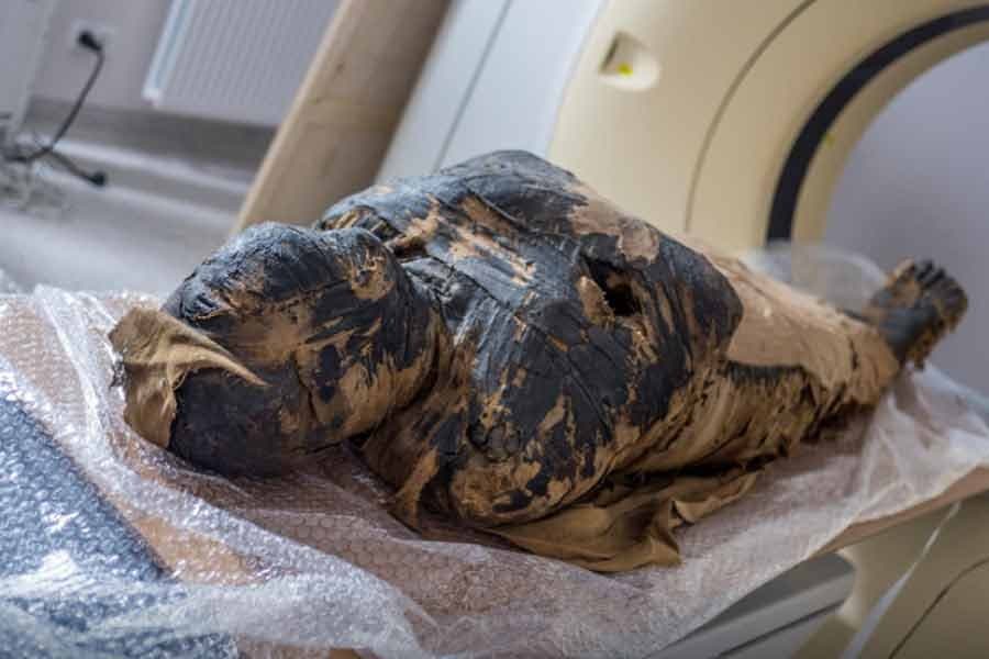 Polish scientists discover ancient Egyptian mummy was pregnant woman