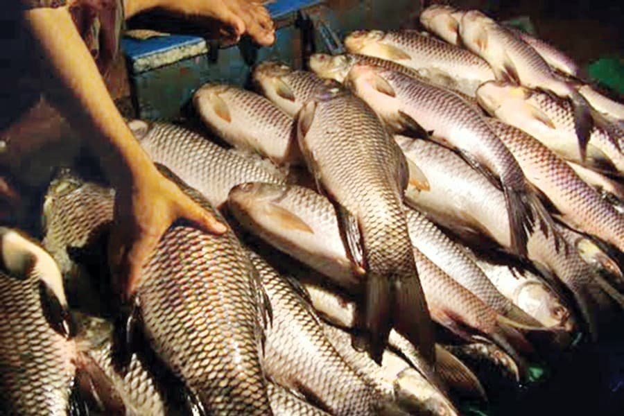 Ministry’s mobile shops see sale of Tk 2.04b in a month