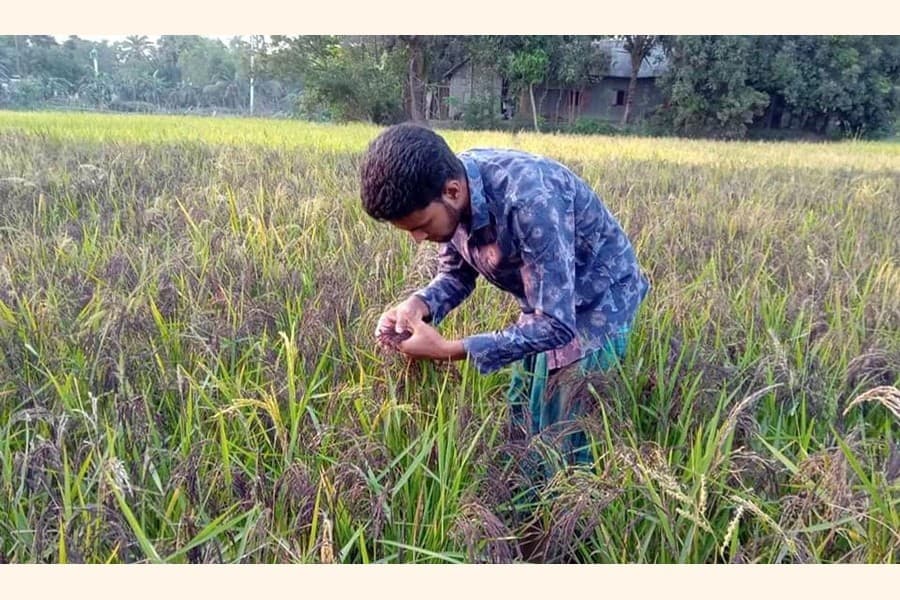 Student-turned-farmer Arif wants to be successful