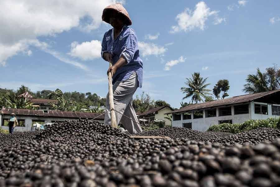 Trade must be part of the solution to biodiversity loss