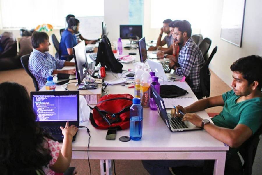 Skills for survival in the evolving job market