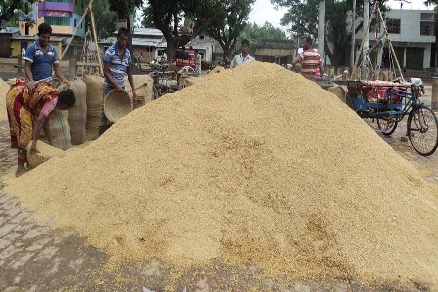 Rice prices up again in Kushtia