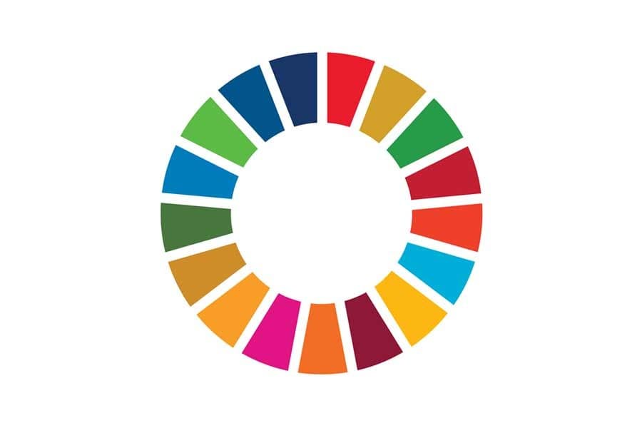 Prioritising social protection for SDG implementation