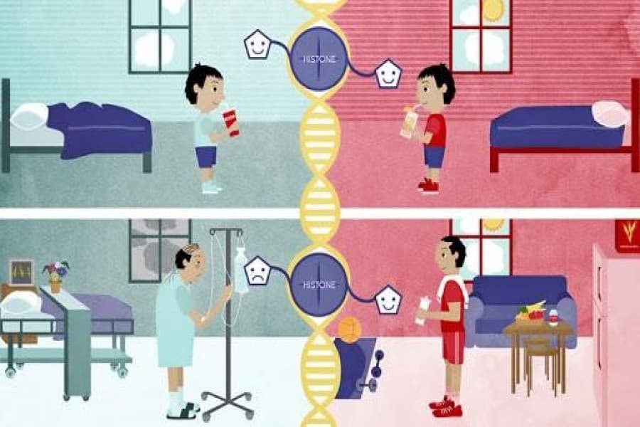 Epigenetics: The spirituality of genetics