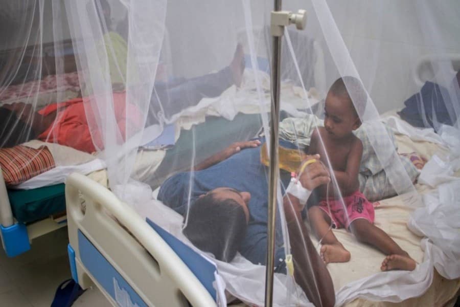 Bangladesh reports 53 more dengue cases in 24 hours