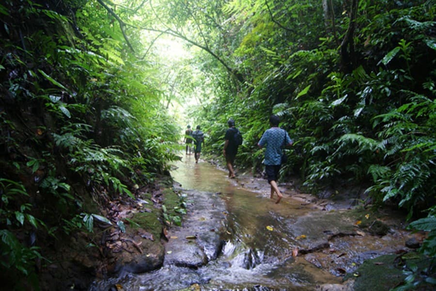 New Safari Park planned at remote Lathitila forest in Moulvibazar