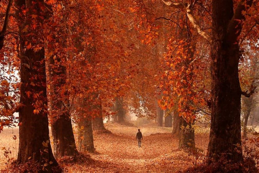 Does helping the environment make you happier?