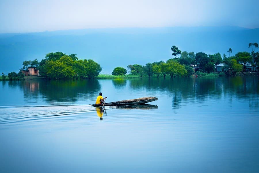How nature fills our hearts with joy