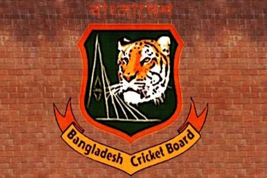 What’s the role of cricket board selectors?