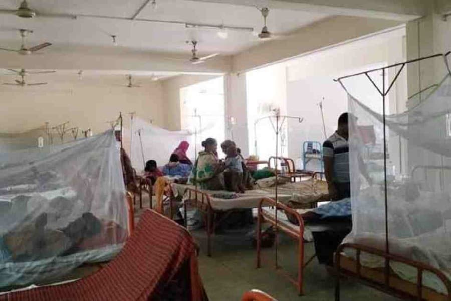 275 more hospitalised with Dengue in 24hrs, no fresh death reported