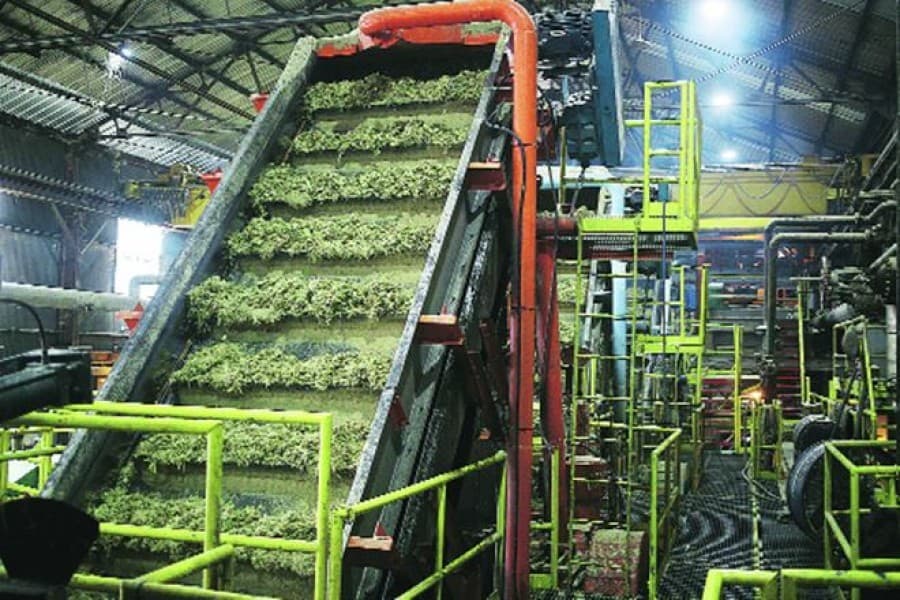 Modernisation of Bangladesh sugar mills stalled