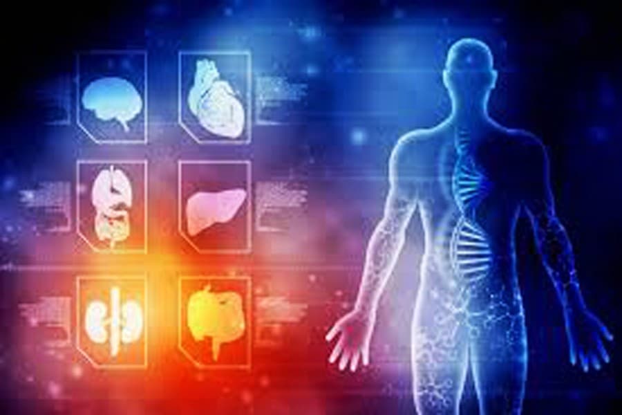 Harmful effects of lead on human health