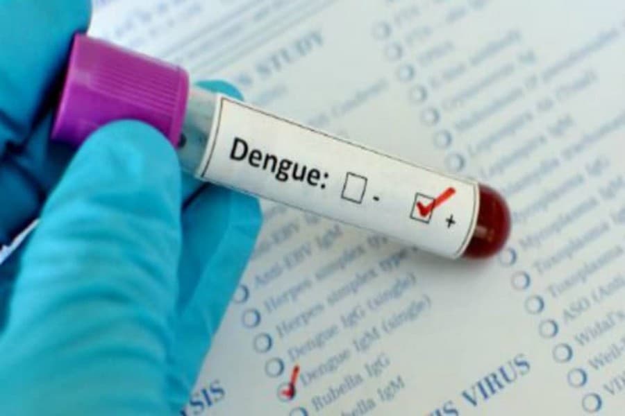 60 more dengue patients hospitalised in 24hrs