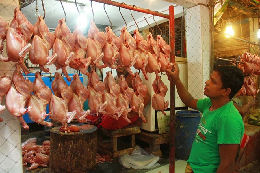 Red egg, layer chicken, onion getting costlier