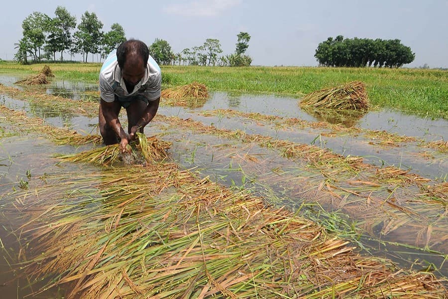 Groundwater in Bangladesh not falling alarmingly; new studies dispel concerns