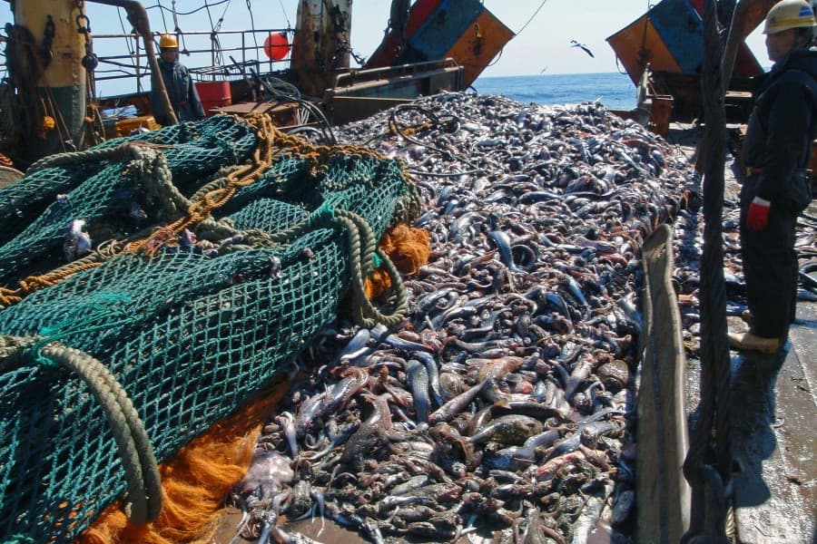 Exploring marine resources