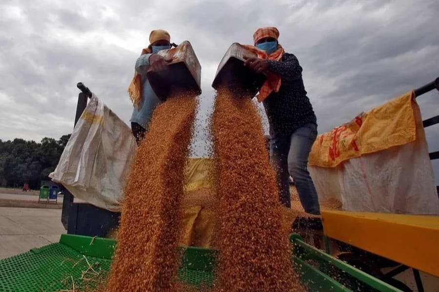 World Bank to offer $30 billion to address global food crisis