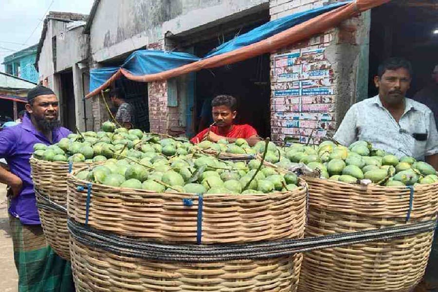 Rajshahi, Chapainawabganj both get GI certificate for Fazli mango