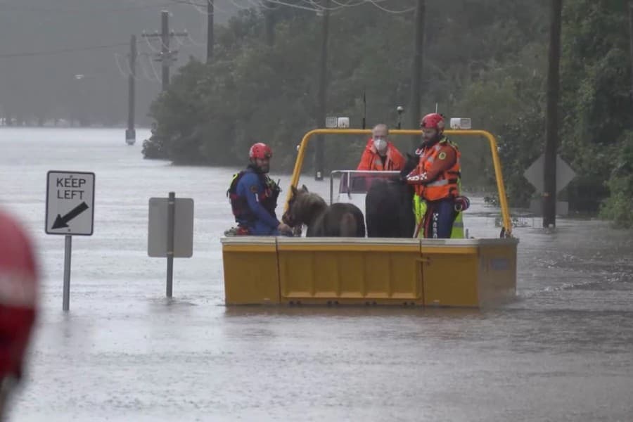 Tens of thousands Sydney residents told to evacuate as rains flood suburbs